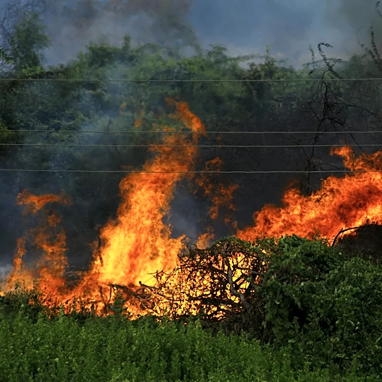 Max Road Fire Scorches 11,000 Acres in Everglades, 60% Contained