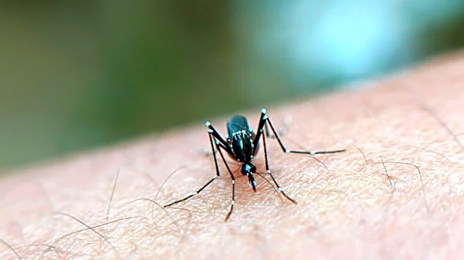 Dengue Cases Surge Globally: Prevention and Control Measures