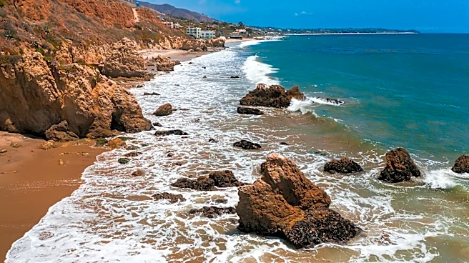 California Marine Heat Wave Threatens Wildlife and Ecosystems