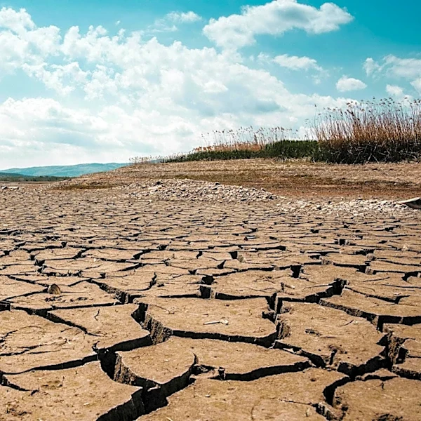 Cloud Seeding: A Controversial Solution to Global Water Scarcity