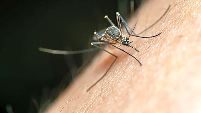 EPA Highlights Safe Use of Insect Repellents for Mosquito and Tick Protection