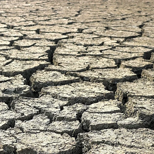 Super El Niño Predicted for 2026: Lessons from 1877 Catastrophe