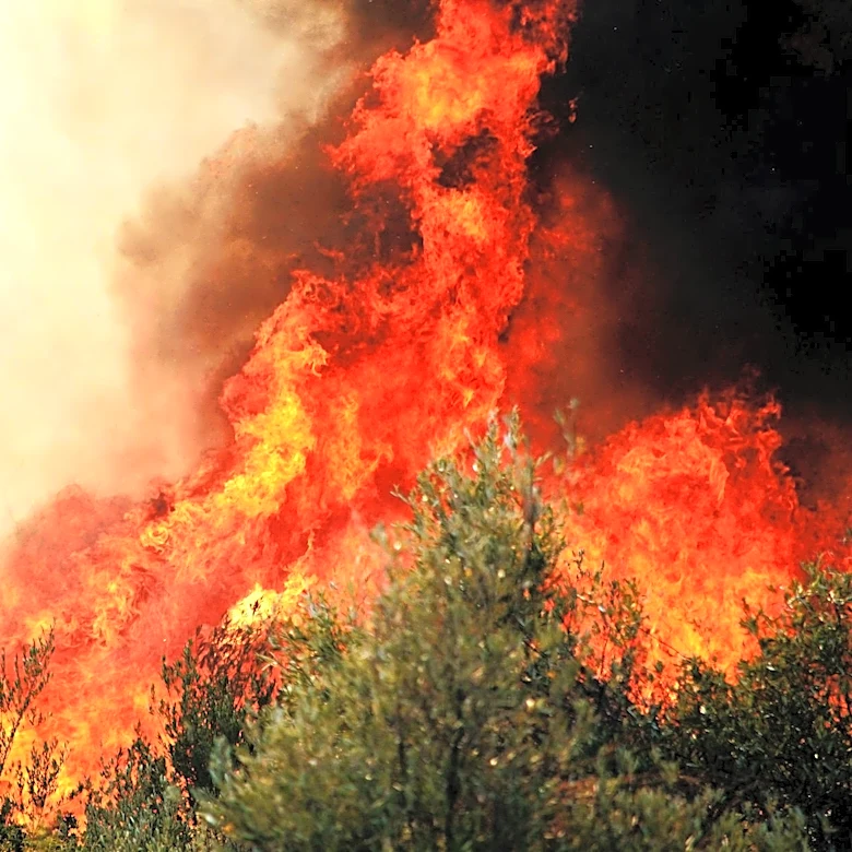 NASA FIRMS Provides Near Real-Time Global Fire Data