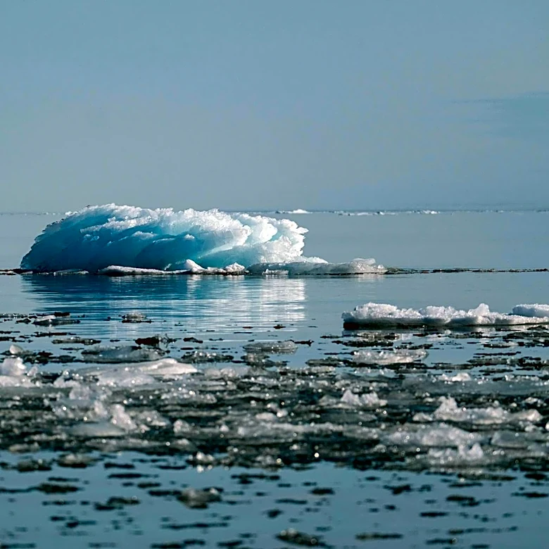 Climate Change Indicators Highlight Arctic Sea Ice Variability