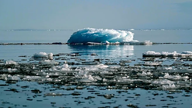 Climate Change Indicators Highlight Arctic Sea Ice Variability