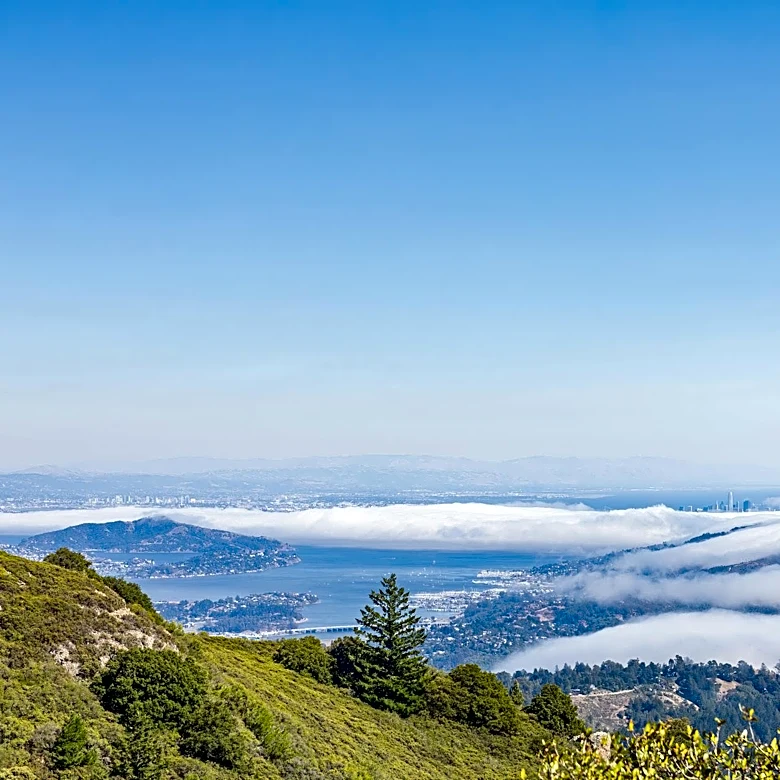 Cooler Temperatures Across Bay Area, Warming Expected by Weekend