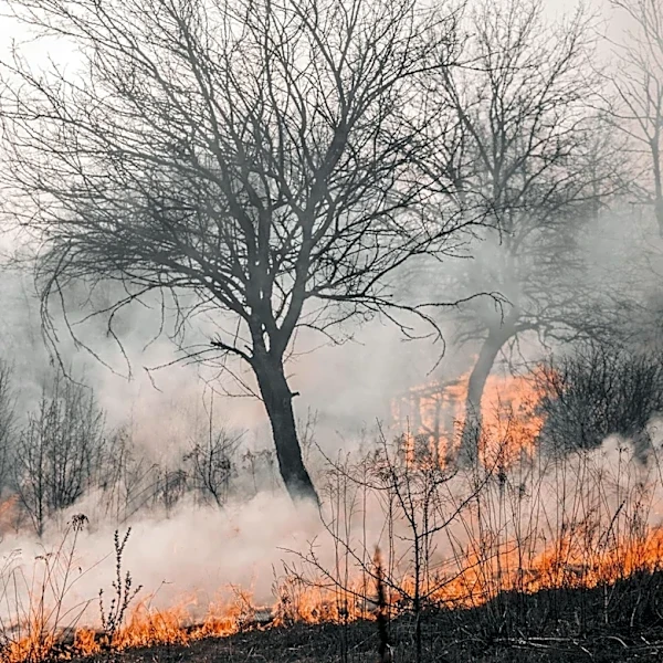 El Niño Expected to Intensify Heatwaves, Wildfires, and Floods in 2026