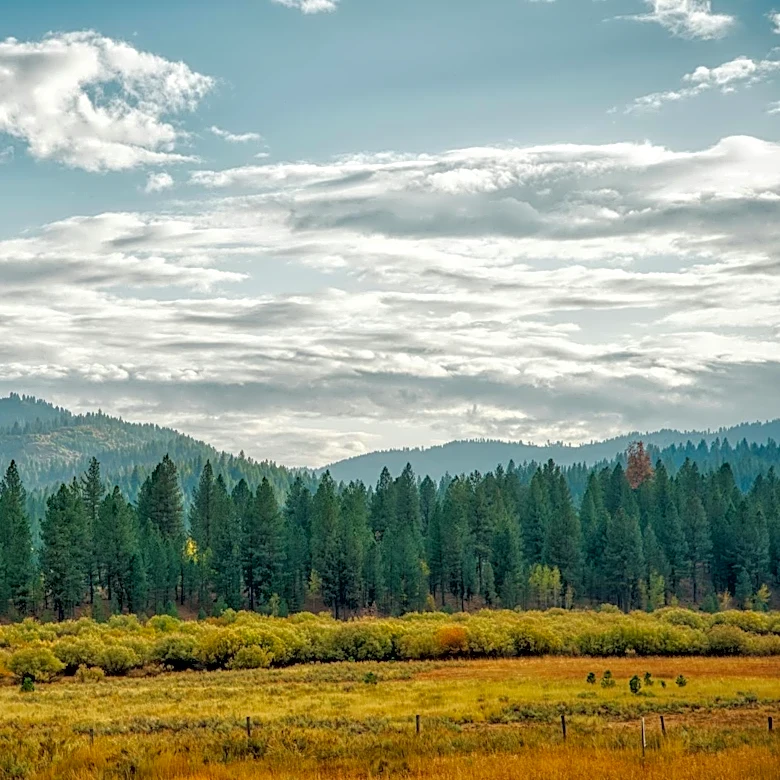 Idaho Faces High-Risk Wildfire Season Amid Low Humidity and High Heat