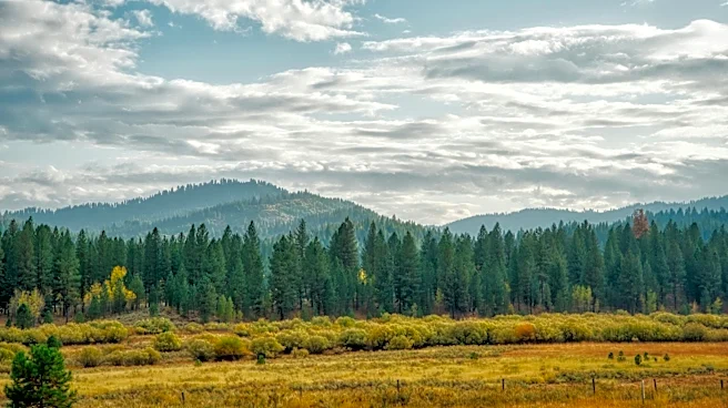 Idaho Faces High-Risk Wildfire Season Amid Low Humidity and High Heat