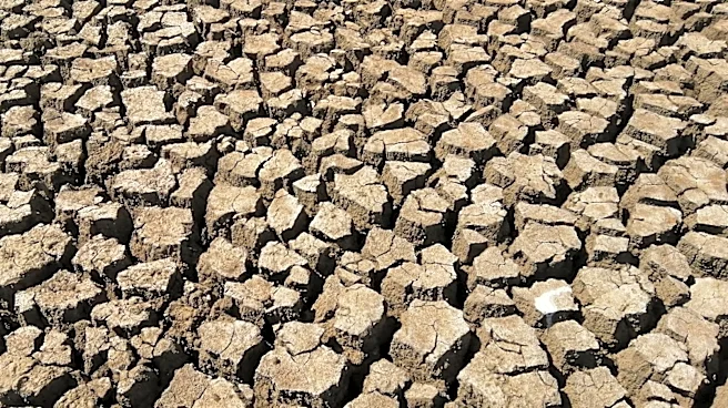Water Scarcity Threatens Cotton Farming Amid Global Supply Chain Disruptions