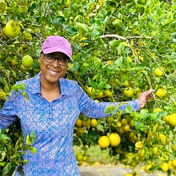 Florida Farmers Face Severe Losses Amid Freeze and Economic Challenges