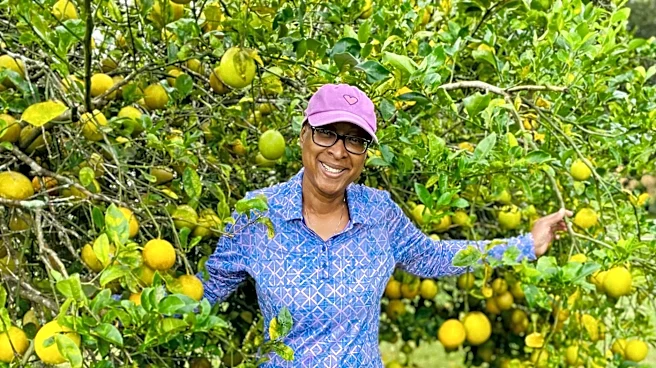 Florida Farmers Face Severe Losses Amid Freeze and Economic Challenges