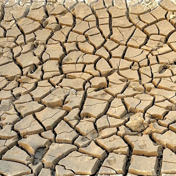 Global Study Links Concentrated Precipitation to Declines in Terrestrial Water Storage