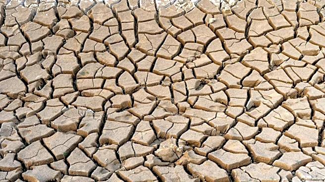 Global Study Links Concentrated Precipitation to Declines in Terrestrial Water Storage