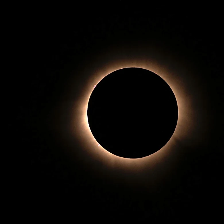 Nashville Witnesses the Great American Eclipse: A Stunning Astronomical Event