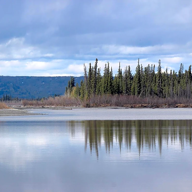 Fairbanks, Alaska, Awaits Rapid 'Greenup' as Spring Arrives