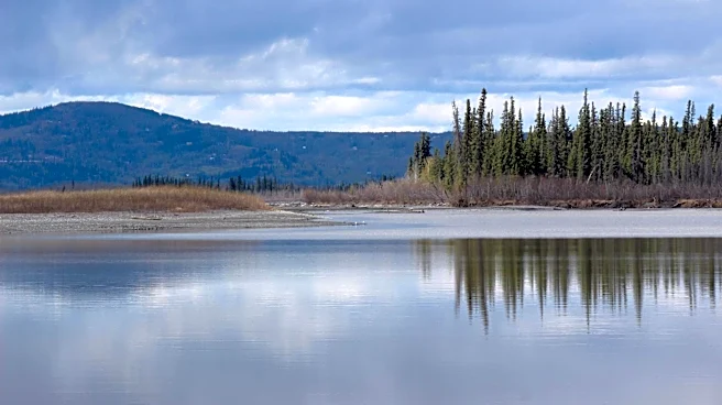Fairbanks, Alaska, Awaits Rapid 'Greenup' as Spring Arrives