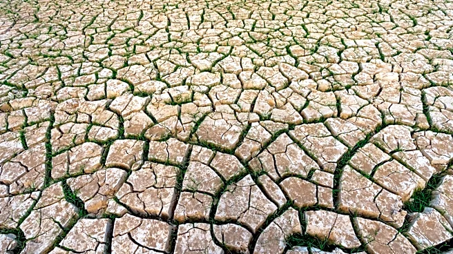 Changing Weather Patterns Fuel Valley Fever's Spread Across the U.S.