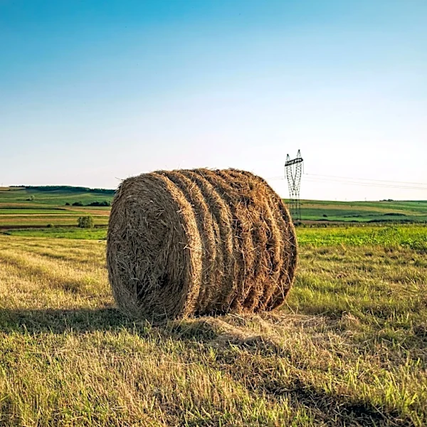 Ohio Hayfields Face Challenges Amid Weather Variability