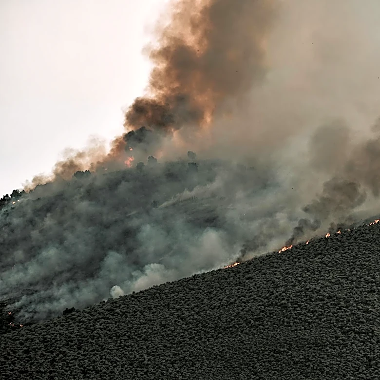 Arctic Wildfires Release Ancient Carbon, Amplifying Global Warming