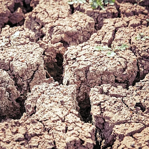 Record Drought and Water Scarcity Impact U.S. and Global Agriculture