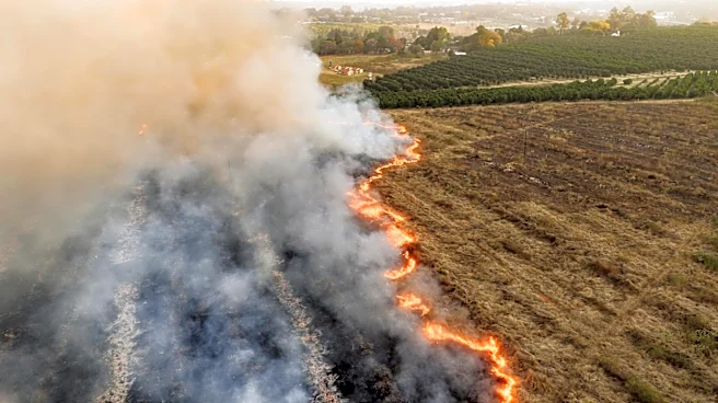 Georgia Faces Extended Drought, Impacting Agriculture and Raising Wildfire Risks