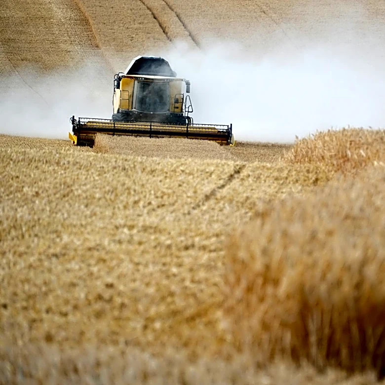 Dry Conditions Lead to Lowest U.S. Wheat Harvest Since 1972