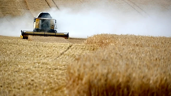 Dry Conditions Lead to Lowest U.S. Wheat Harvest Since 1972