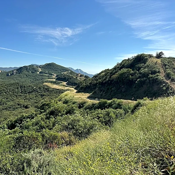 Backbone Trail Hike Offers Stunning Views and Community in Santa Monica Mountains