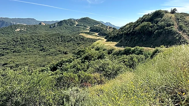 Backbone Trail Hike Offers Stunning Views and Community in Santa Monica Mountains