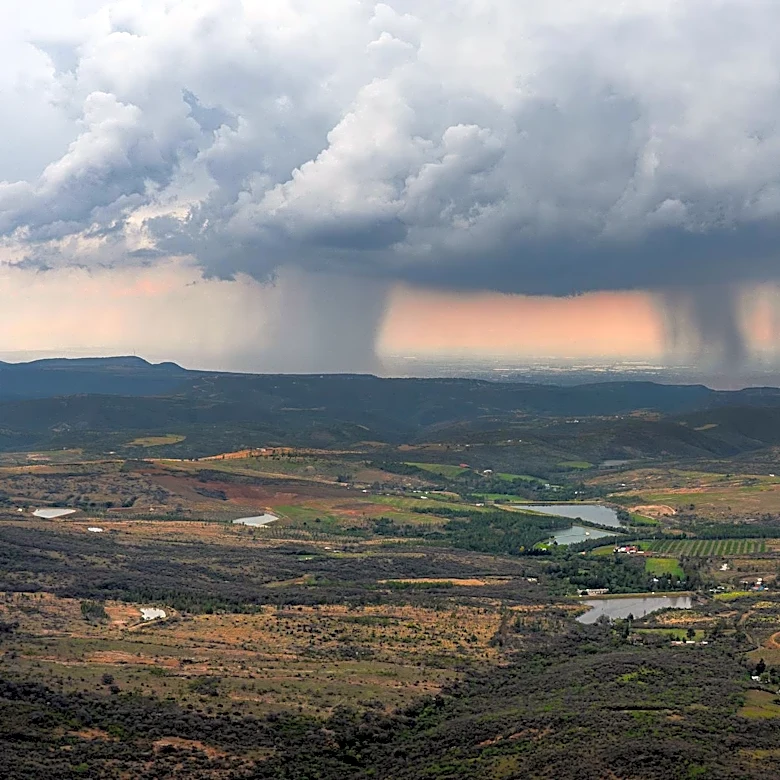 El Niño Watch Issued: 82% Likelihood of Onset by Summer 2026