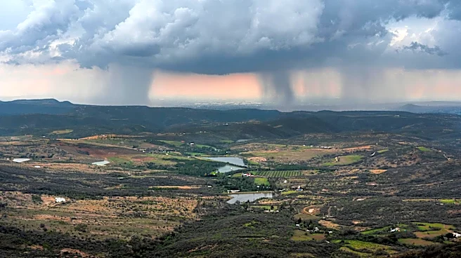 El Niño Watch Issued: 82% Likelihood of Onset by Summer 2026