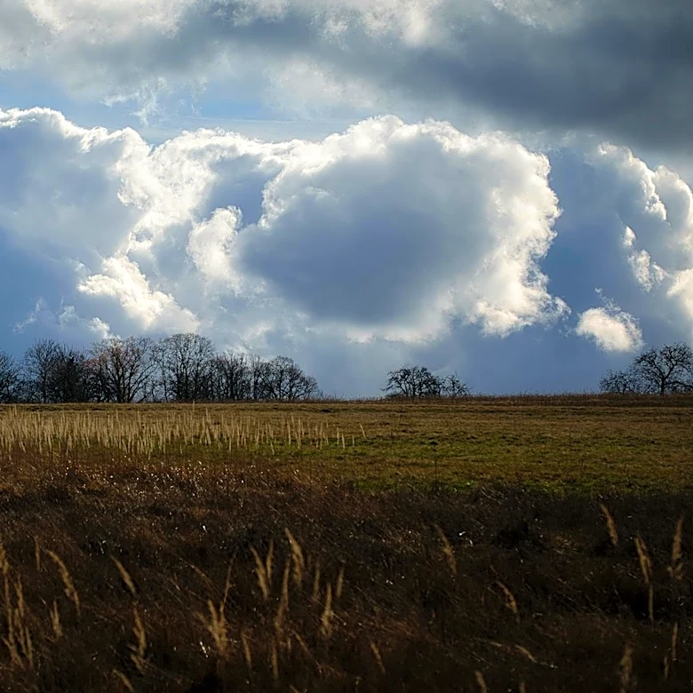 Maryland Faces Blustery Chill Before Weekend Warm-Up