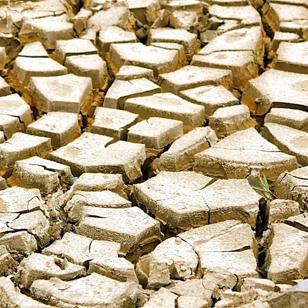 Voluntary Water Restrictions Implemented in Baltimore Region Amid Drought