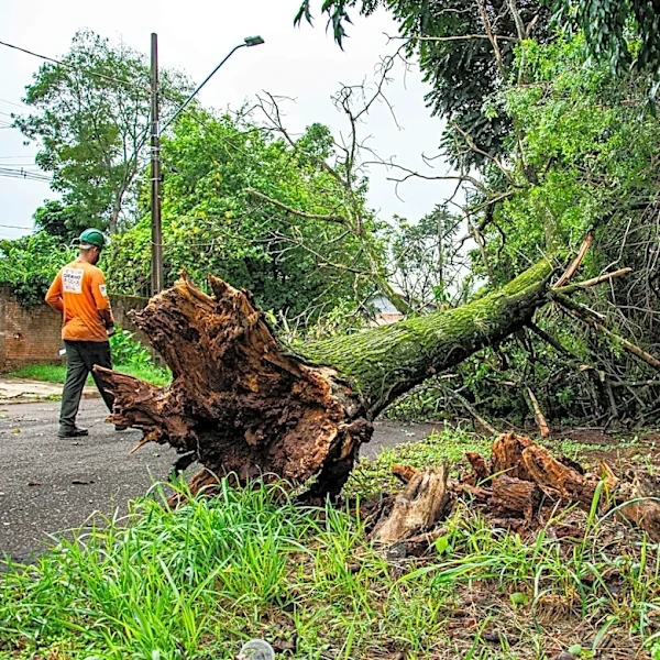 Floridians Urged to Prioritize Underground Safety During Storm Cleanup