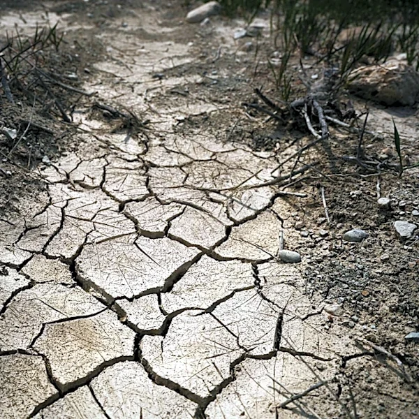 Drought Prompts Federal Disaster Designation in South Dakota