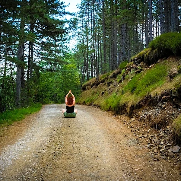 Forest Bathing: A Deeper Connection with Nature