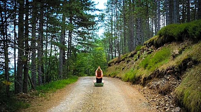 Forest Bathing: A Deeper Connection with Nature