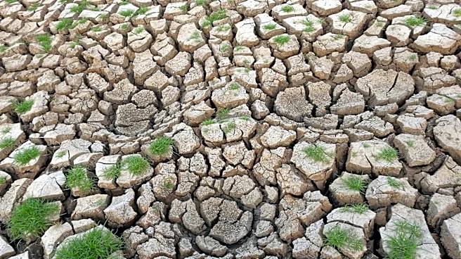 El Niño Likely to Strengthen, Raising Global Storm and Crop Risks
