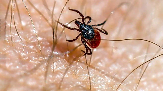 Tick Bites Surge Across Northeast and Midwest Amid Warmer Weather