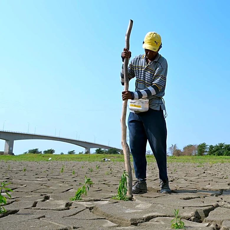 Super El Niño Expected to Impact U.S. Agriculture and Hurricane Season