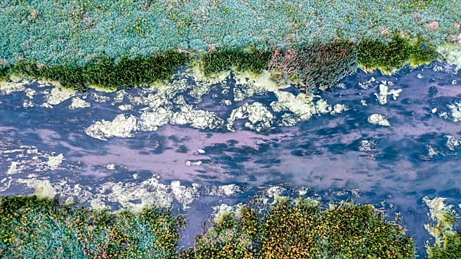 Global Rivers Losing Oxygen Due to Climate Change, Scientists Warn