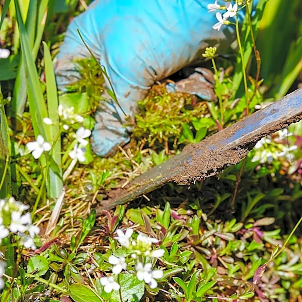 Spring Gardening Safety: Tips to Avoid Common Injuries