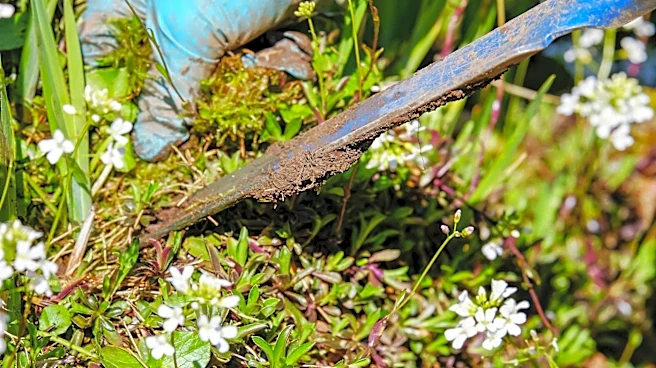 Spring Gardening Safety: Tips to Avoid Common Injuries
