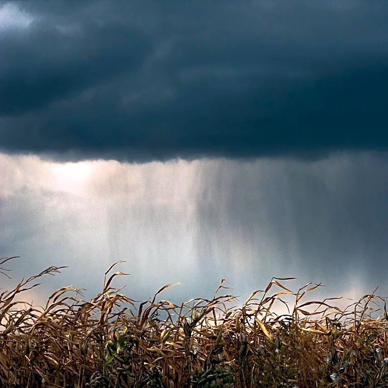Super El Niño Expected to Impact U.S. Agriculture and Weather Patterns This Summer