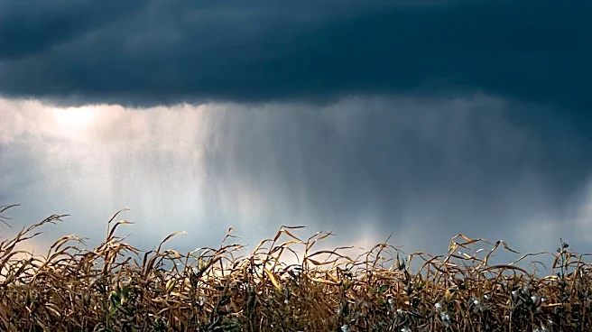 Super El Niño Expected to Impact U.S. Agriculture and Weather Patterns This Summer