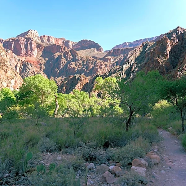 Grand Canyon North Rim Reopens with Limited Services