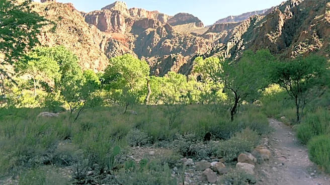 Grand Canyon North Rim Reopens with Limited Services