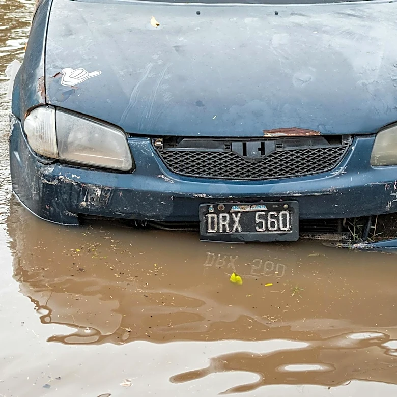 Hawaii Faces Worst Flooding in 20 Years, Devastating Local Farms
