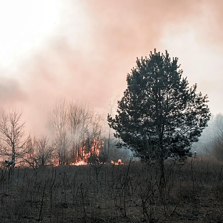 Major Wildfires in Colorado and Minnesota Prompt Evacuations and Emergency Response